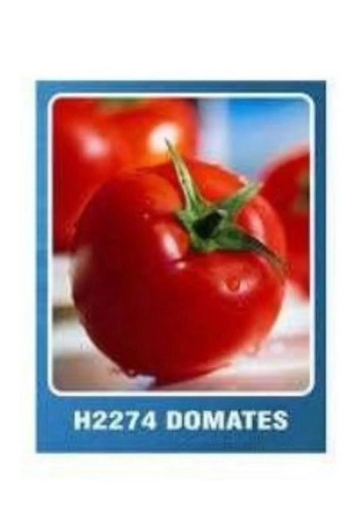 Asgen Domates Tohumu H-2274 10GR 1 Paket Asgen Domates Tohumu H-2274 10GR 1 Paket