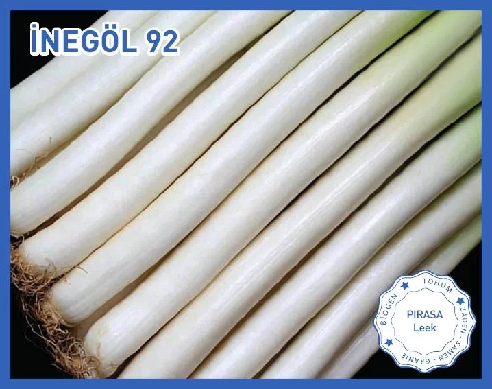 Biogen Pırasa Tohumu İnegöl92 10GR 1 Paket Biogen Pırasa Tohumu İnegöl92 10GR 1 Paket