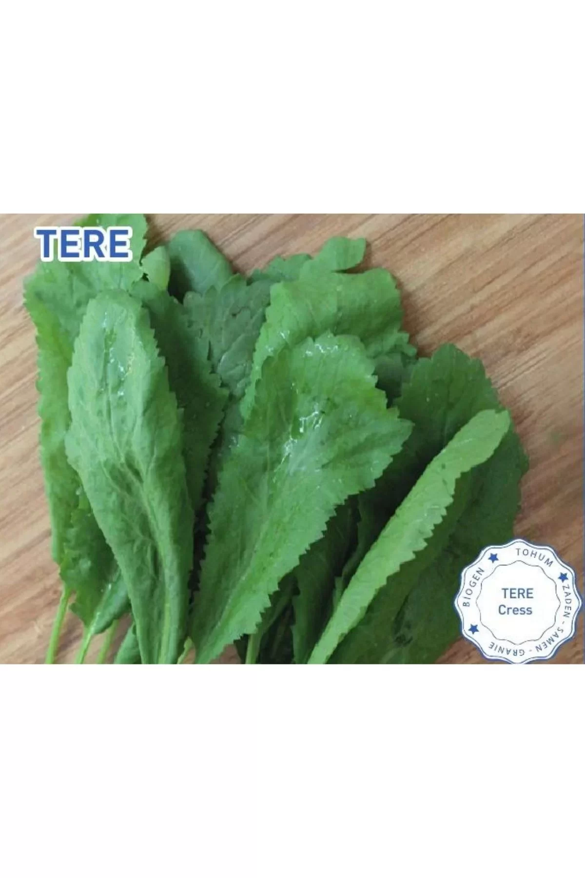 Biogen Tere Tohumu 25gr 1 Paket Biogen Tere Tohumu 25gr 1 Paket