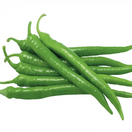 Green Line Sera Demre Biber Tohumu 25gr 1 Paket Green Line Sera Demre Biber Tohumu 25gr 1 Paket